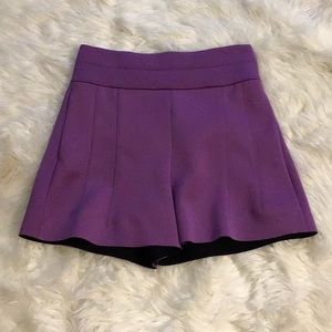 Robert Rodriguez high waisted shorts